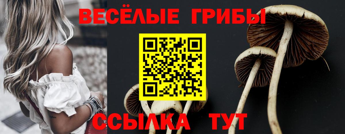 Псилоцибиновые грибы GOLDEN TEACHER  Псилоцибиновые грибы MAGIC MUSHROOMS  Усть-Илимск  Вход с VPN 